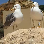 In Algarve,vilamoura דירה *
